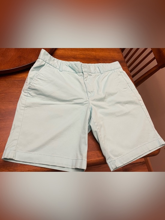 STYLUS Pants - Stylus Shorts Pale Teal Size 6